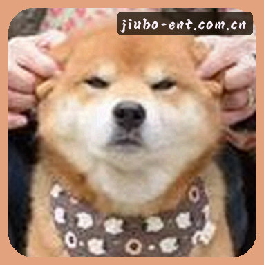 陈总